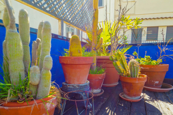 #39700 - House - Centre, Sitges 