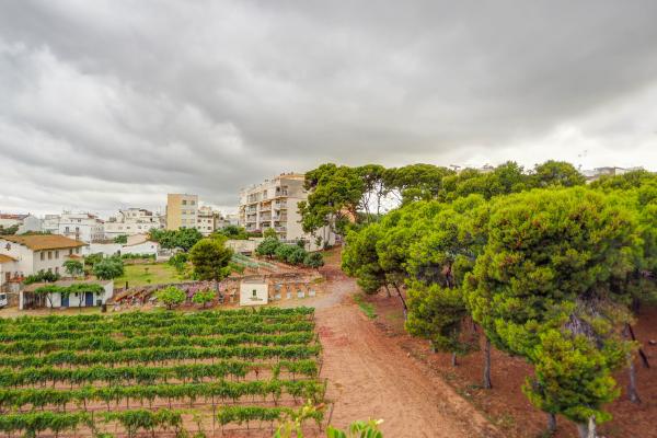 #50306 - Appartement - Poble Sec- Observatori, Sitges 