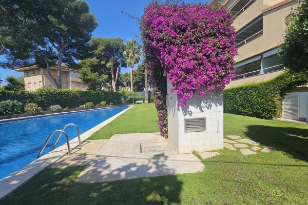 #51240 - Apartment - Vinyet, Sitges 