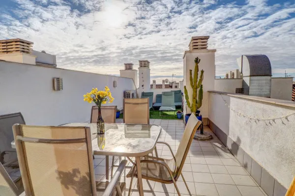 Mimosa Apartment